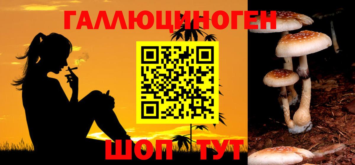 Псилоцибиновые грибы мухоморы Тихорецк