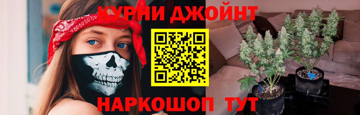 Бошки марихуана LSD WEED Тихорецк