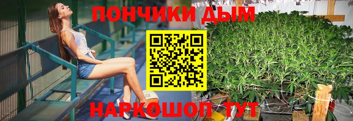 Шишки марихуана планчик  Вход с VPN  Конопля семена  Тихорецк  МАРИХУАНА индика 